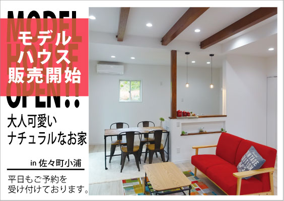 cola-model-house-top_3.jpg