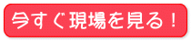 イベントに行く