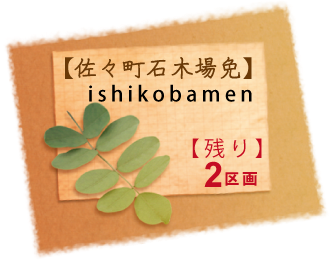 ishikobamen29.8.png
